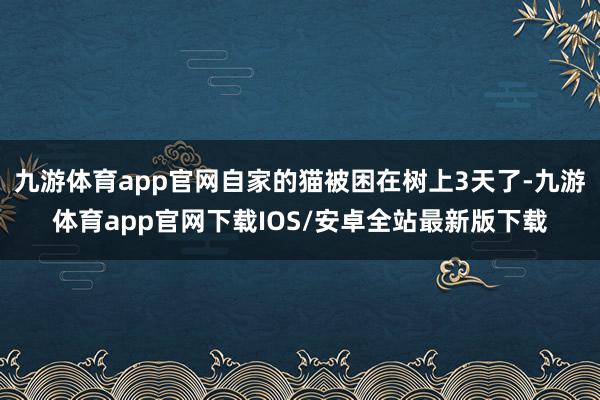 九游体育app官网自家的猫被困在树上3天了-九游体育app官网下载IOS/安卓全站最新版下载