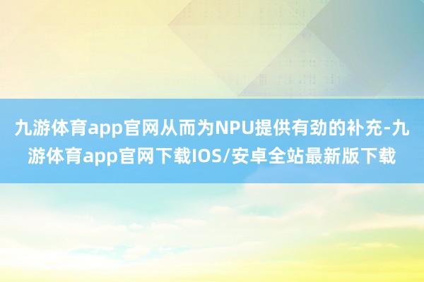 九游体育app官网从而为NPU提供有劲的补充-九游体育app官网下载IOS/安卓全站最新版下载